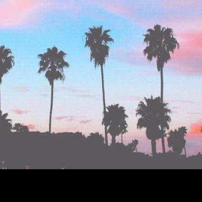 LovelySadAnon's profile picture. i love cats. this is my venting account, i do not promote self harm. i am here for you! stay strong.