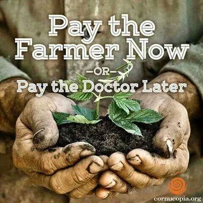 panaramalamaxim's profile picture. 