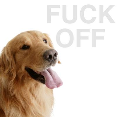 i hate dogs.
