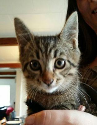 thomasjensen364's profile picture. 