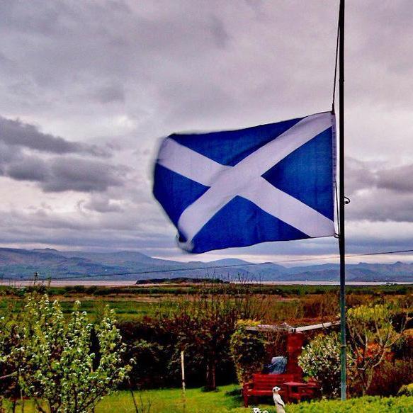 Andy1010uk's profile picture. 