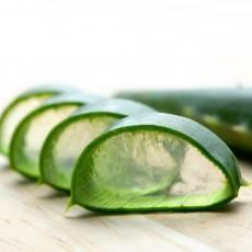 Tutto su Salute, Benessere e Fitness. Prenditi cura di Te stesso, naturalmente.
L'Aloe Vera è una pianta dalle mille proprietà benefiche per il nostro corpo.