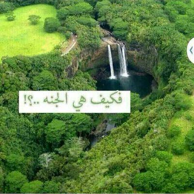 ‏‏‏‏‏‏‏‏سبحان الله وبحمده سبحان الله العظيم