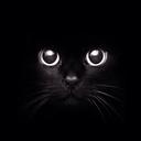 - (@09HARIYANTO) Twitter