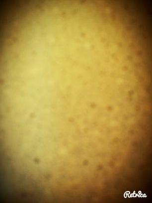 _EAEGS_
_AOG_
#POLAR#
T-RAP