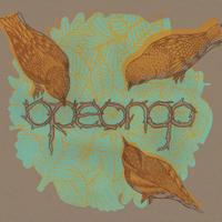 Opeongo (@opeongomusic) 's Twitter Profile
