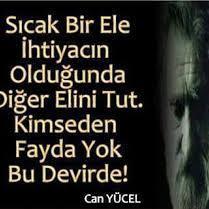 AilesiBaysu's profile picture. 