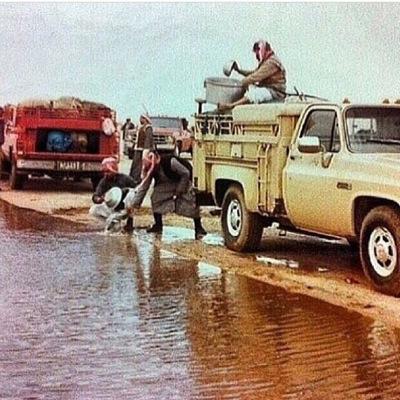 للقمه العليا على الدنيا شروط 
يلقى بها الفاشل على نفسه حرج
لاكثرو أعدائك فلاترضى السقوط 
أصنع من العدوان للقمه درج 

شفيع القصير شاعر قطري ابياتي في المفضله