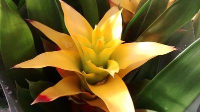 VernaGarden's profile picture. 