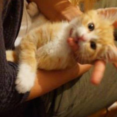 mathysvandendyc's profile picture. 