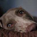 Mark Borcherding - @MarkBorcherding - Twitter