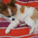 James Elko - @JimmyElko - Twitter