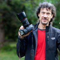 Marco Oss (@marcoosstrento) 's Twitter Profile Photo