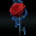 sasa (@0509519402) Twitter