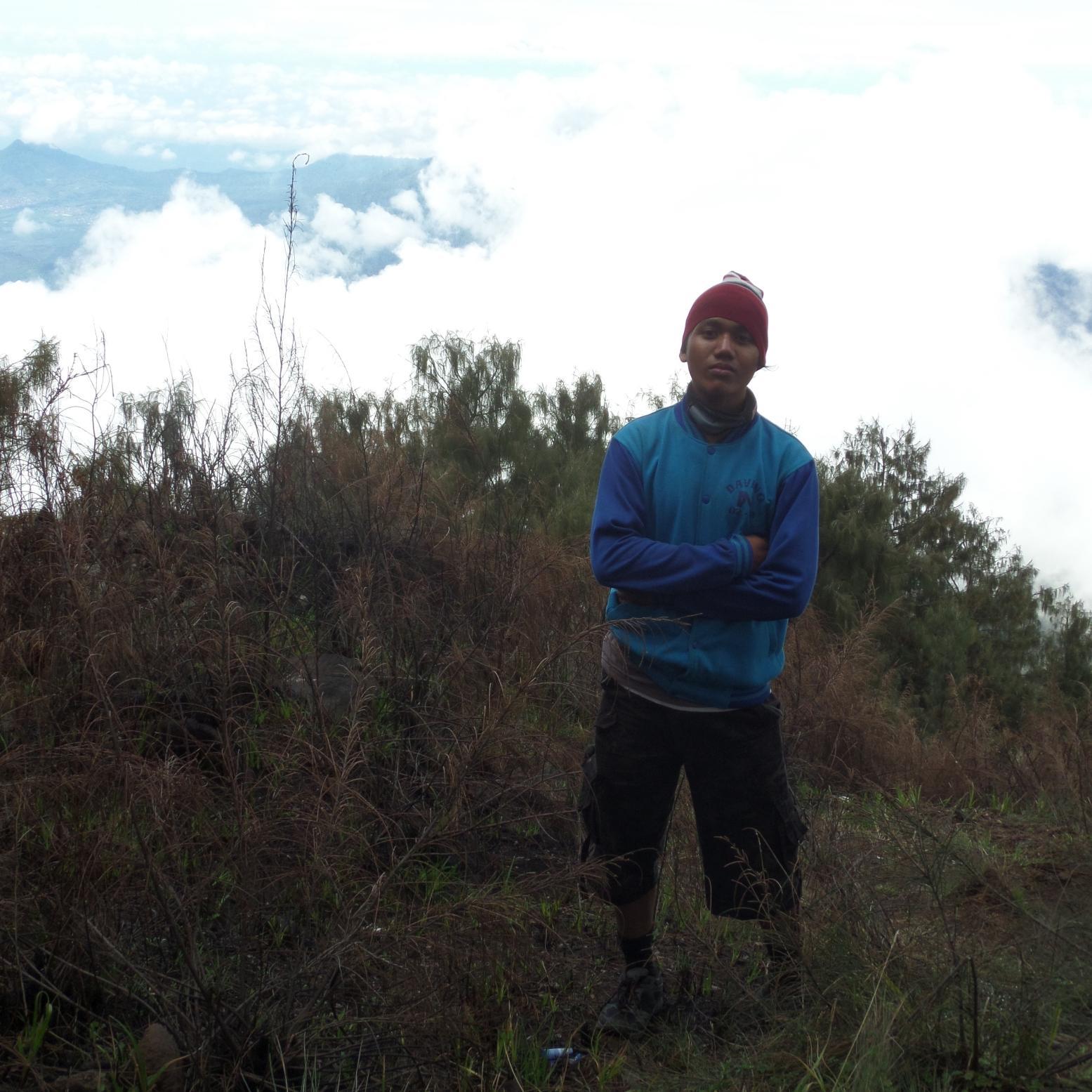 arditink's profile picture. Major Agroteknologi (Fak. Pertanian) ' Upn ''Veteran'' Jatim