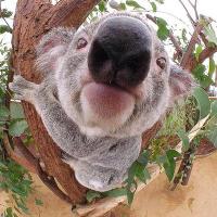 Eqυαɴιмιтoυѕ (@equanimitous) 's Twitter Profile