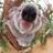 equanimitous's profile image