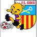 GAVÀ FS (@fsgavaofficial) Twitter profile photo