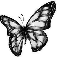 @wanz.. (@ef2a76e042f64c6) 's Twitter Profile