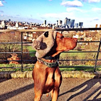 megggggaannn's profile picture. 