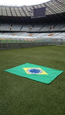 A Raposa mais linda do mundooo!!!
