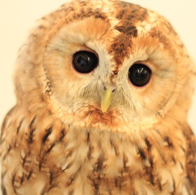 san815san's profile picture. 