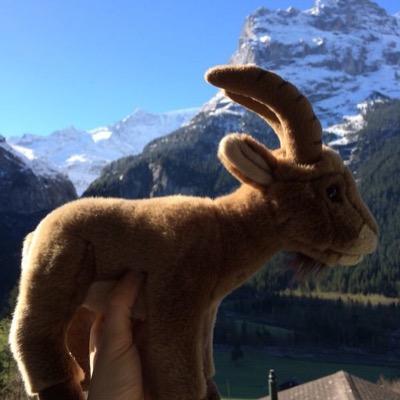 Born in the eastern mountains of Switzerland, I am representing Swiss mountain values on a global level.