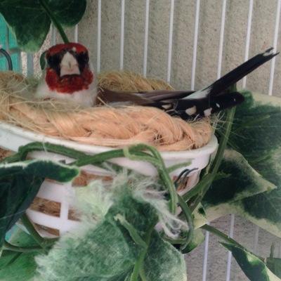 JAgrasar's profile picture. 