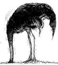 avestruzblog's profile picture. 4 amigos desocupados quem tentam ganhar  a vida na cidade grande!