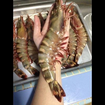 SeawaveTransit's profile picture. 'SEAWAVE TRANSIT' brand is synonymous internationally with Quality Seafood. Our motto of 'Customer Satisfaction First' has inspired us to earn the reputation th