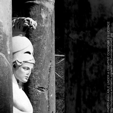 akaViolence's profile picture. I try to follow and retweet anything violent; combat sports, martial arts, street fights, military conflicts, etc.  And yeah, I'm a real person, just DM me!