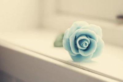 trueself_ornot's profile picture. 自己表現のできないわたし。