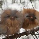 Katina Morrow - @b5e8c1060d2a489 - Twitter