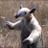 timmy45811's profile image