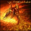 Edward Yong - @EdwardYong007 - Twitter