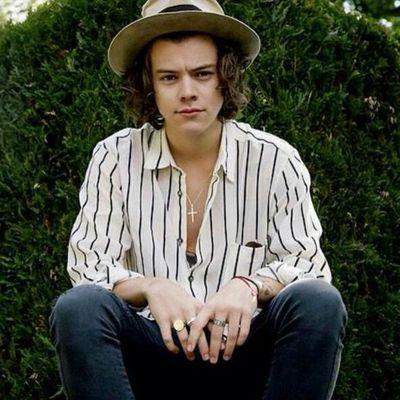 harrystylesaf_2's profile picture. 