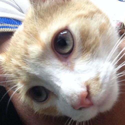 javier0015qp's profile picture. Adicto al dolor exceso de frio y calor me están destruyendo