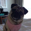 Michelle Sailor - @michesailor - Twitter