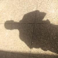 creste (@didiercreste) 's Twitter Profile