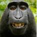 Desechosvisuales (@dvisuales) Twitter profile photo Desechosvisuales (@dvisuales) Twitter profile photo