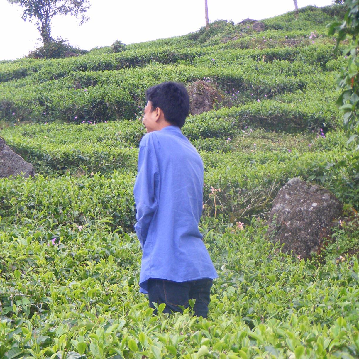 siwi_pranata's profile picture. I WANT TO FREE 
BECAUSE THIS IS MY LIFE