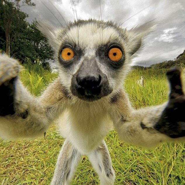 tfcooper's profile picture. 