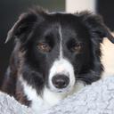 Denise Wild - @denisewild7 - Twitter