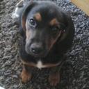 Julie Ellen Daigle - @daigle868 - Twitter