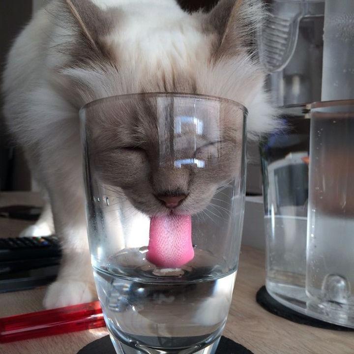 ferrycorsten7's profile picture. 