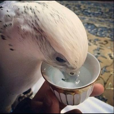 الحمدلله