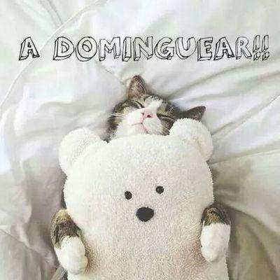 Lumierebrillant's profile picture. 