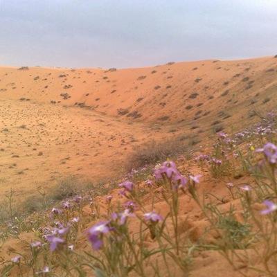 ومن أعرض عن ذكري فإن له معيشة ضنكا