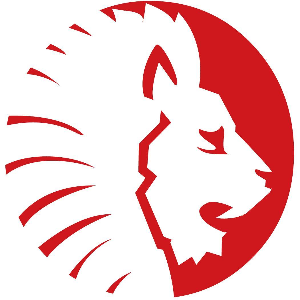 Orion Coaching Profile