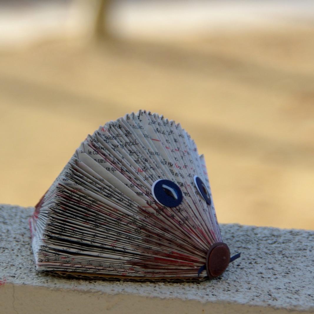 BFarfelu Profile Picture